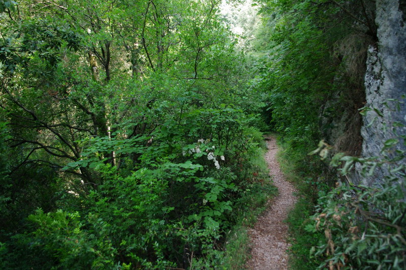  Izlet na reku Aheron 